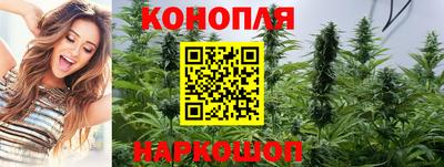 гашиш Кингисепп