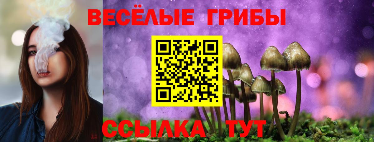 Черкесск  Псилоцибиновые грибы прущие грибы  Вход с VPN 