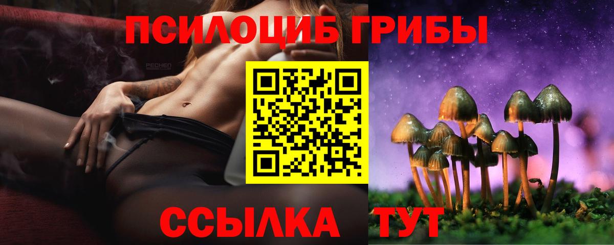 Псилоцибиновые грибы Psilocybe Черкесск